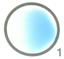 Photograph of a negative Staphyloslide® Test on <EM>Staphylococcus 
    epidermidis</EM> showing no clumping of the latex particles.