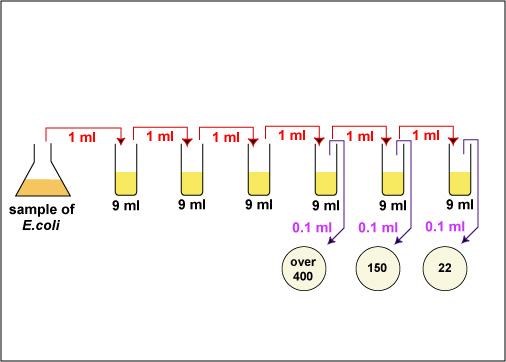 Illustration showing a practice plate count dilution problem, step 1.