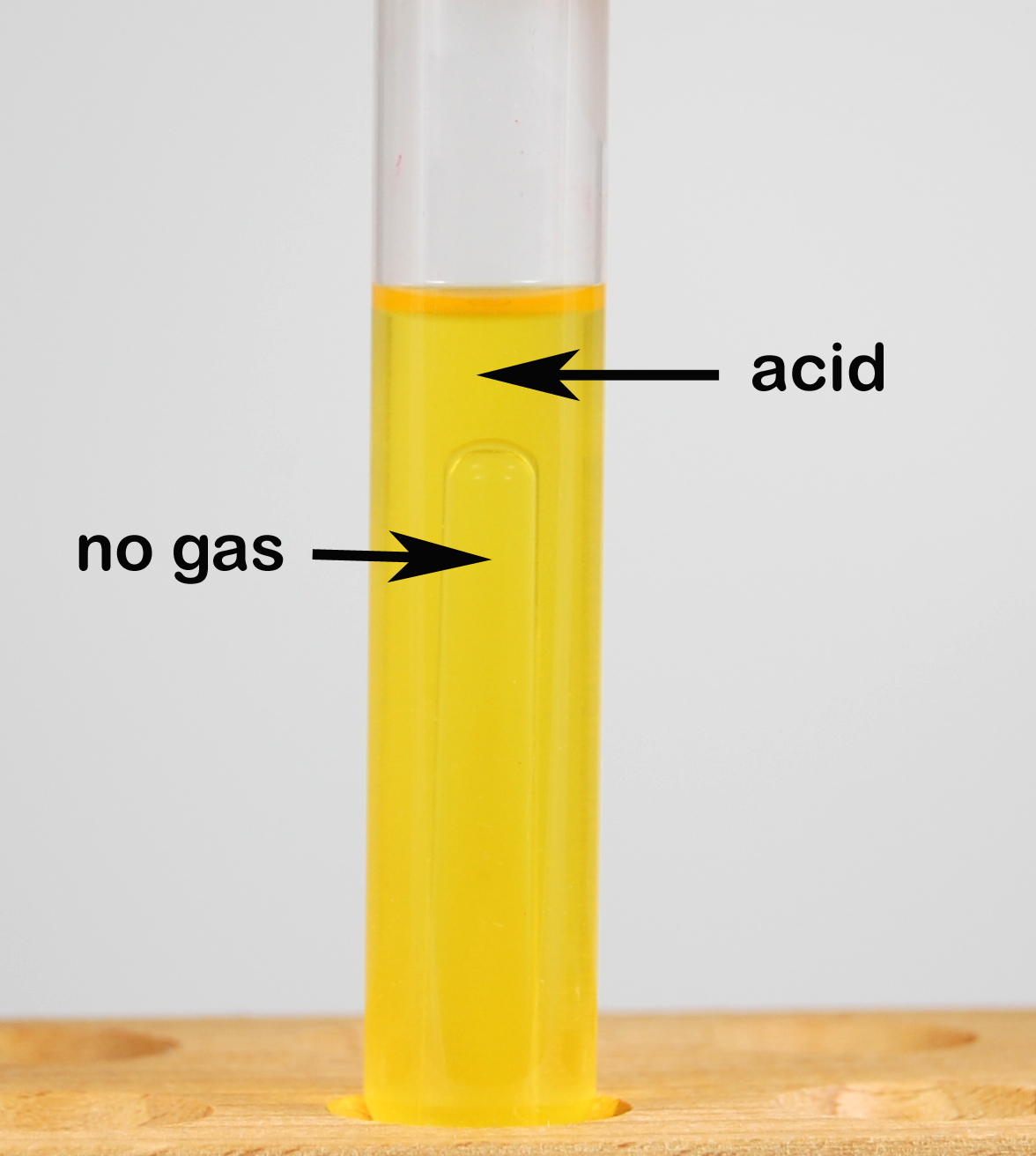 Photograph of a fermentation tube showing bacterial fermentation of a carbohydrate producing acid end products but no gas. Acid end products from carbohydrate 
  fermentation lower the pH causing the pH indicator phenol red to turn from red 
  (neutral) to yellow (acid), but there is no gas seen at the top of the Durham tube.