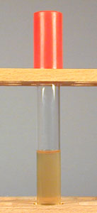 Photograph of an uninoculated tube of SIM medium.