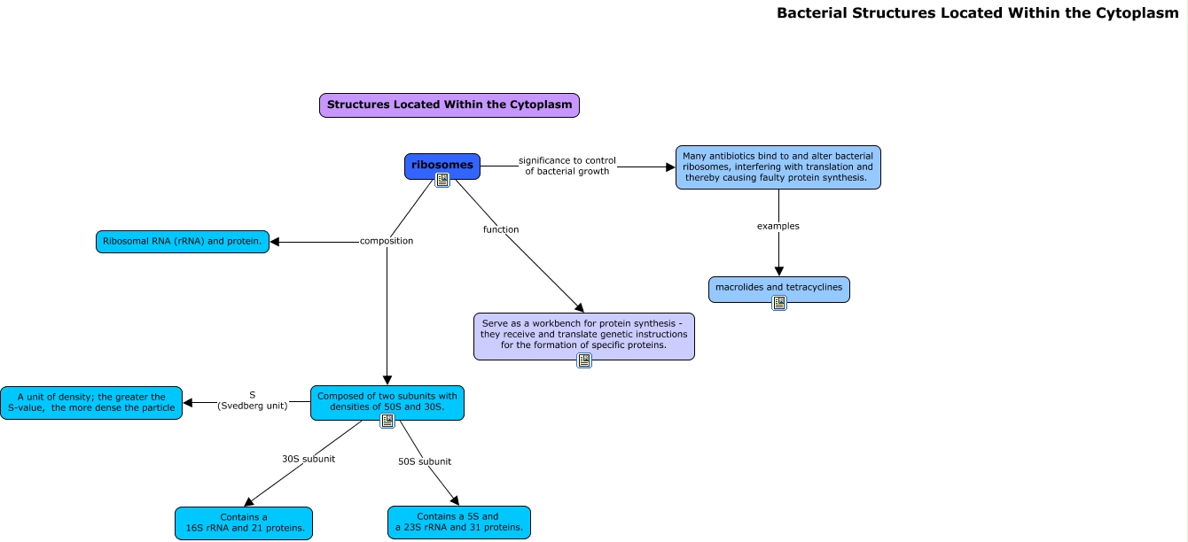 Protein Structure And Function Concept Map