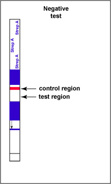 Illustration of a negative test for Group A <i>Streptococcus</i> antigen showing a red band only in the control region of the test strip.