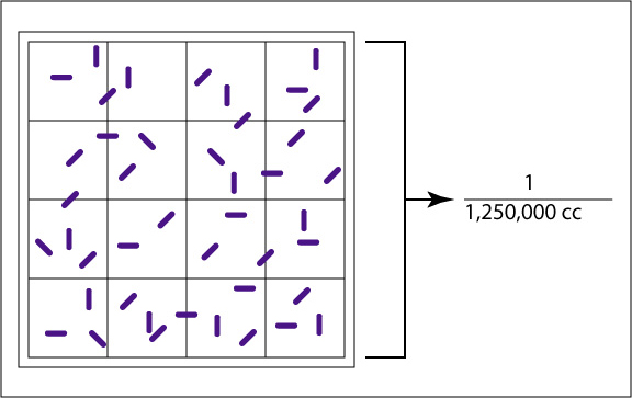 Illustration of a double-lined square of a Petroff-Hausser counting chamber.