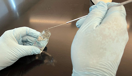 Loopful BIOL 230 Lab Manual, Lab 6